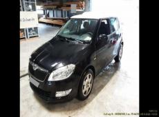 Skoda Fabia (160604 km)