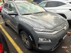 Hyundai Kona EV (57401 km)