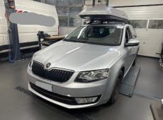 Skoda Octavia Combi (179902 km)