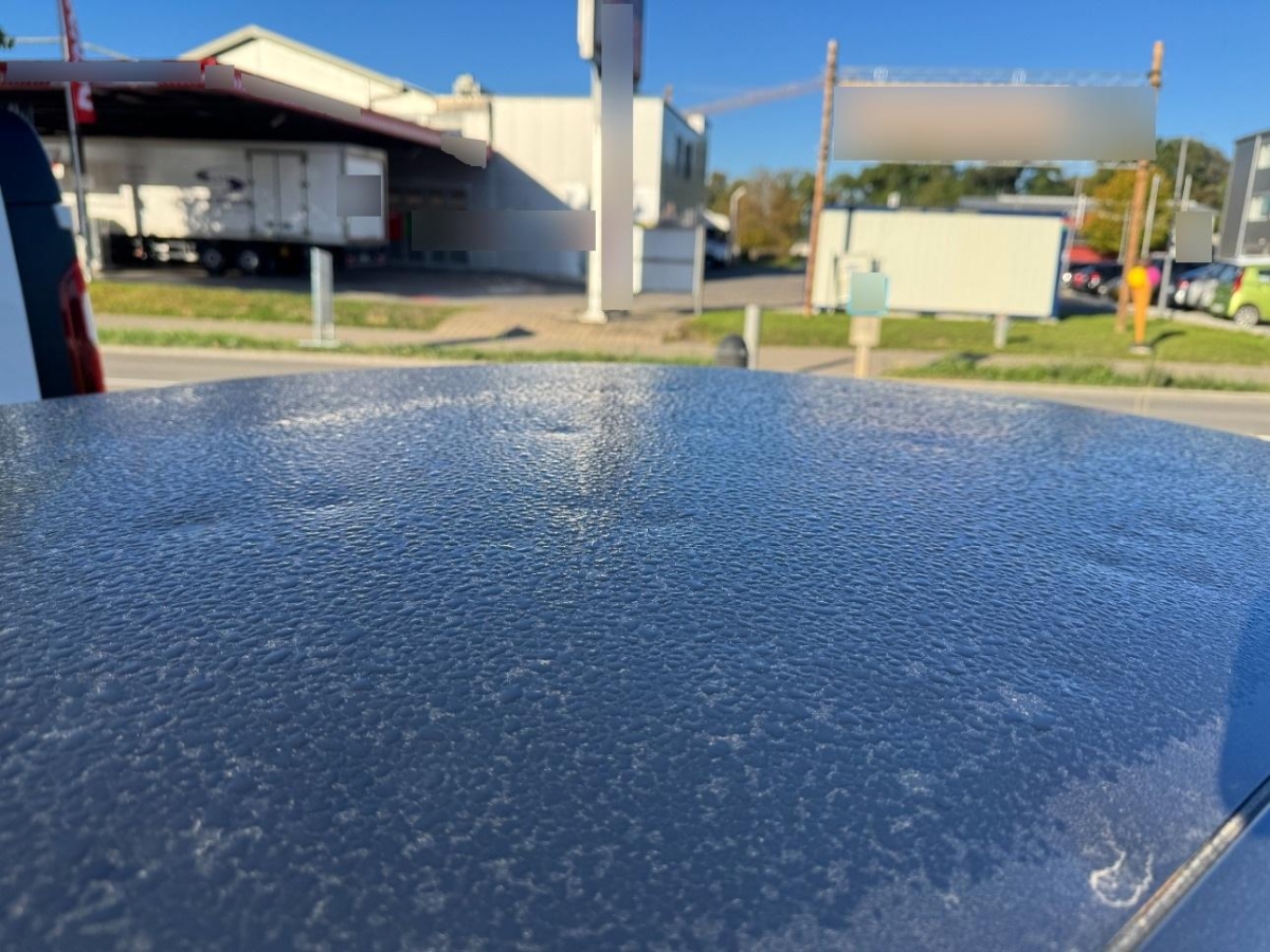 T12