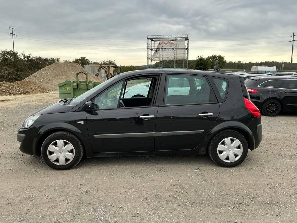 T6