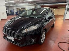 Ford Fiesta ID 483093