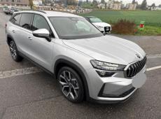 Skoda Kodiaq (99297 km)