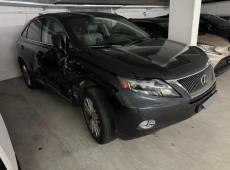 Lexus RX (290860 km)