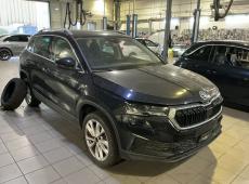 Skoda Karoq ID 483295