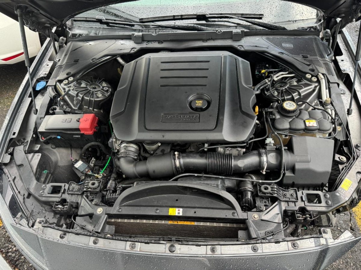 T11