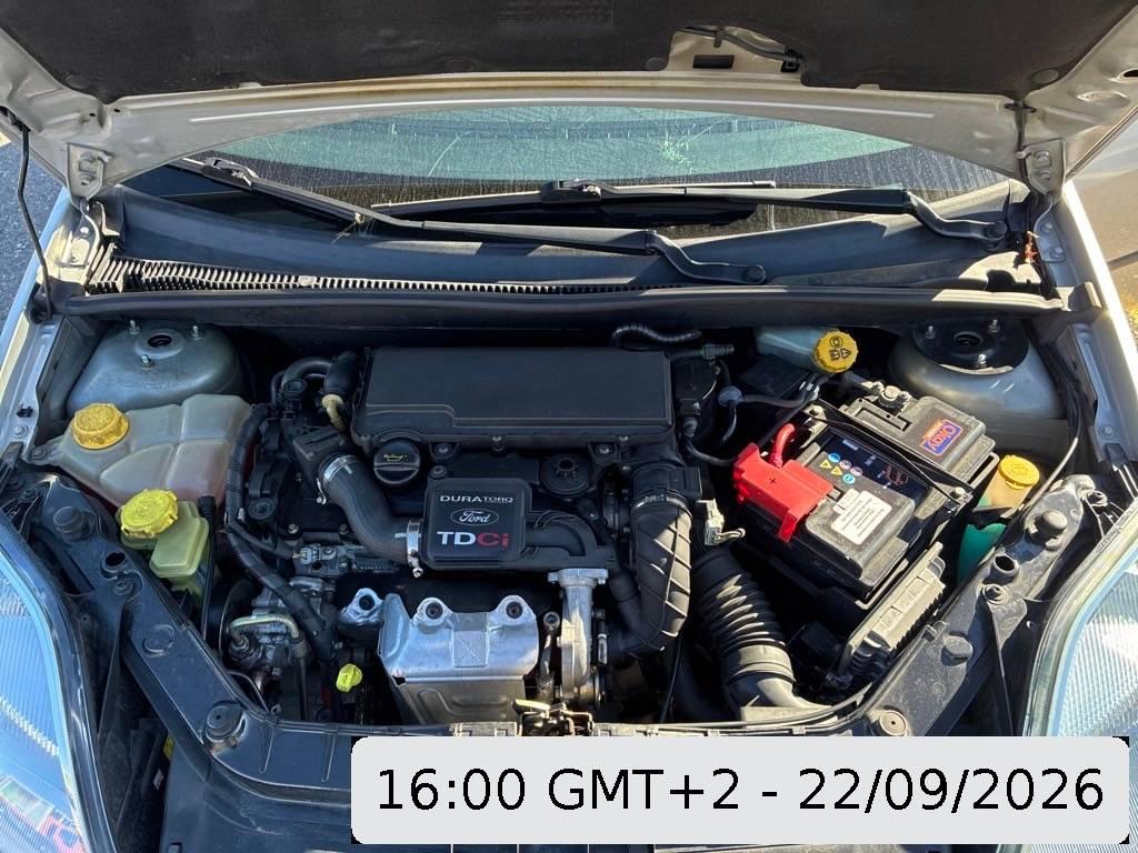 T11