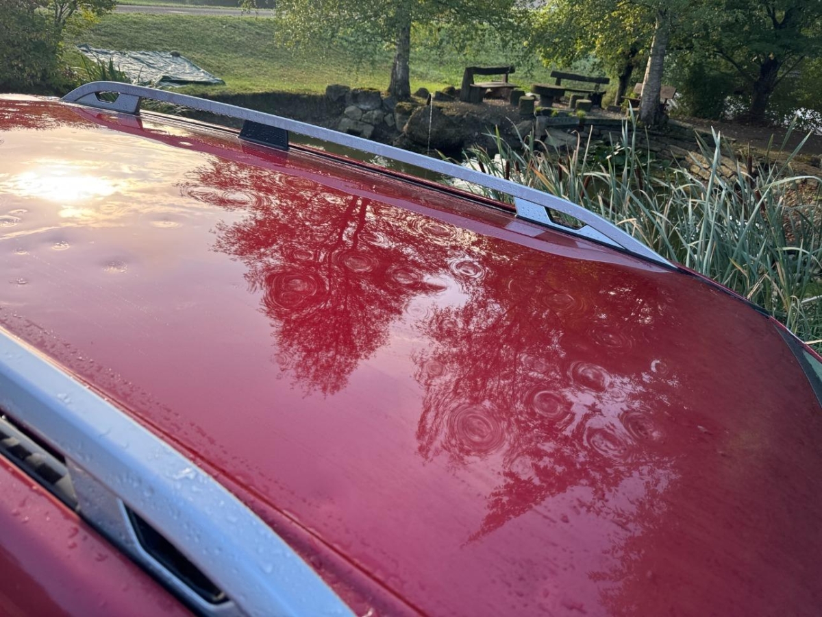 T12