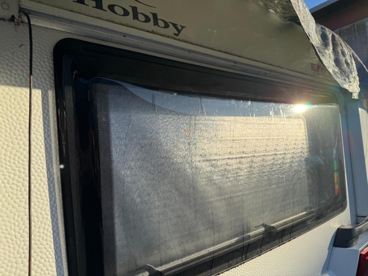 T19