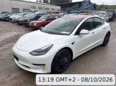 Tesla Model 3 Performance, 513 PS