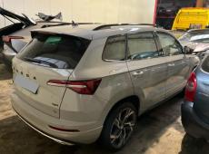 Skoda Karoq (124998 km)