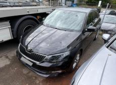 Skoda Fabia (121085 km)