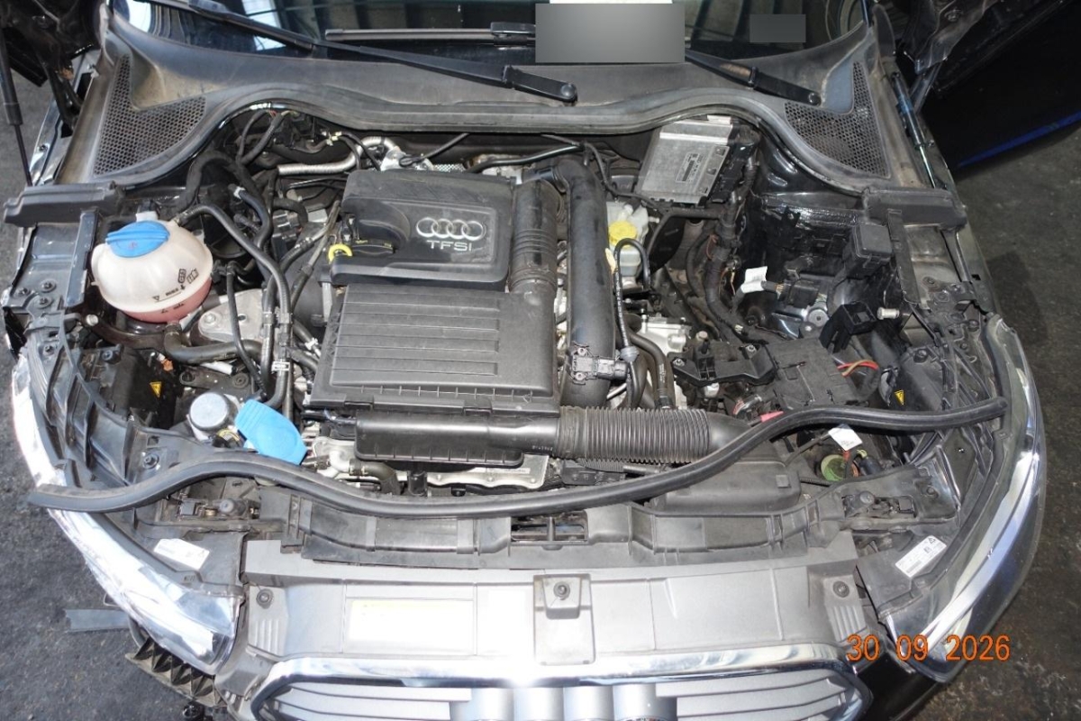 T13
