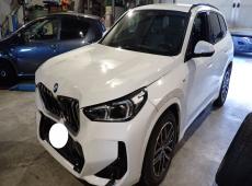 BMW X1 ID 484224