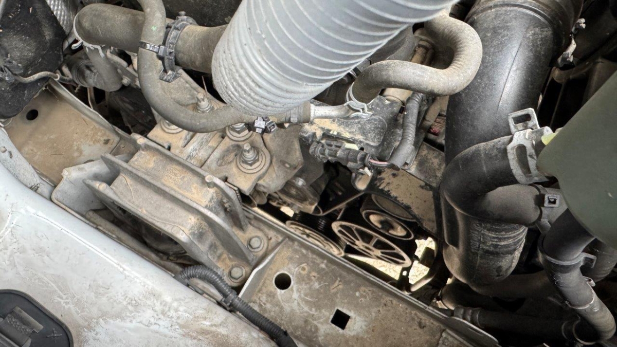 T12