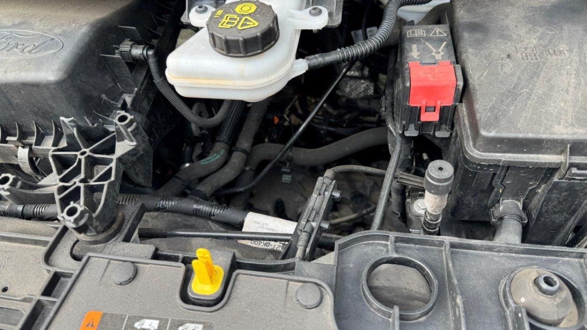 T13