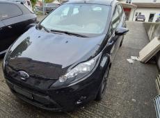 Ford Fiesta 1.25 16V 82 Trend ID 484385