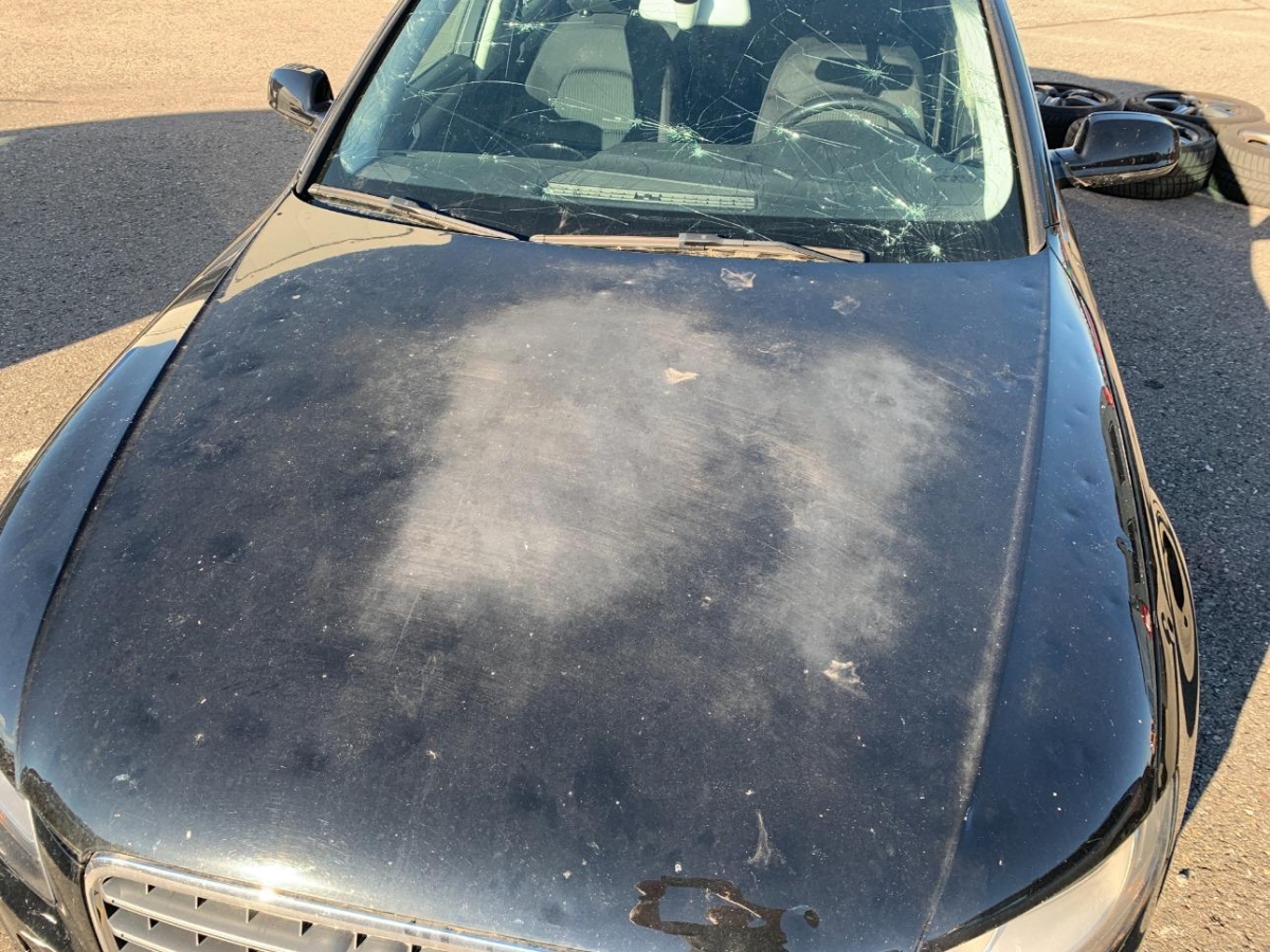 T14