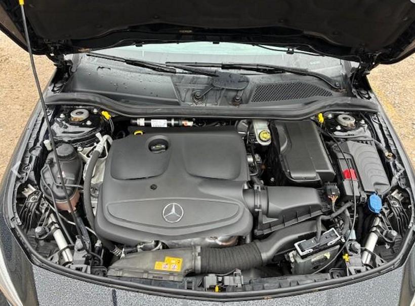 T11