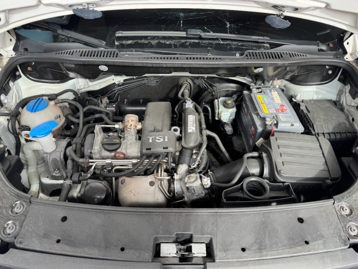 T11
